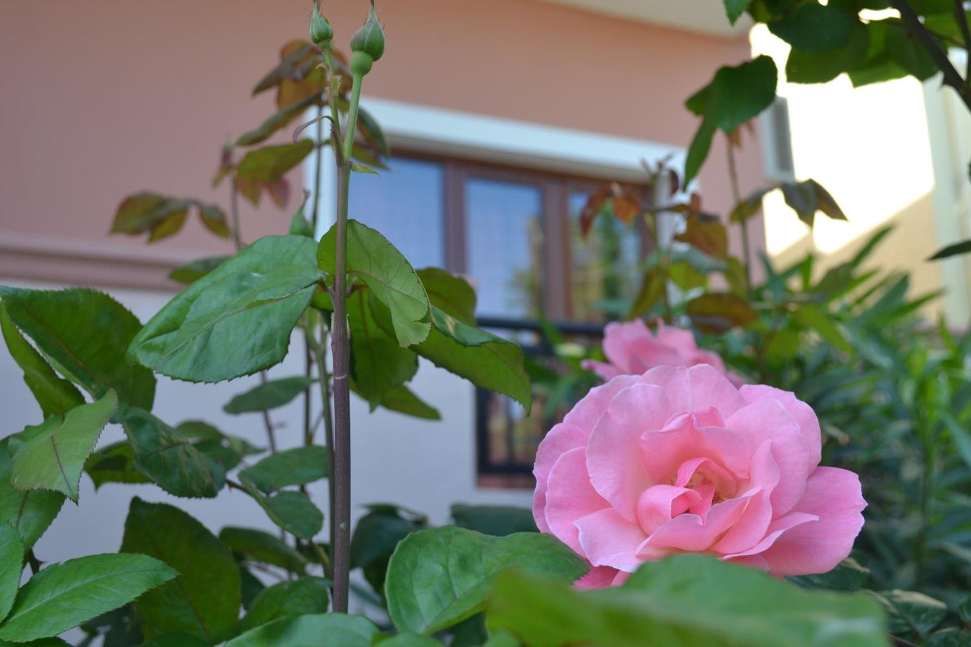Aparthotel Melina'S House Stalós Zewnętrze zdjęcie